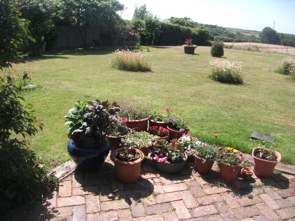 St Benedicts Byre B&B Crowhurst  Exterior photo